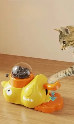Duck Feeder